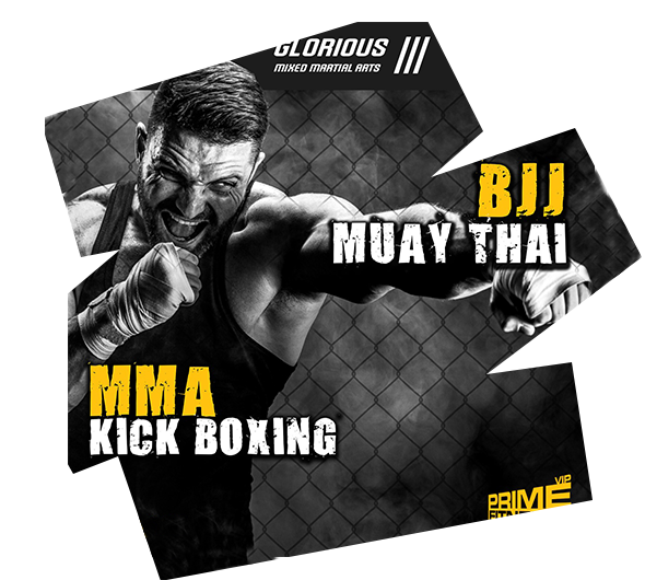 https://www.primefit.com.tr/wp-content/uploads/2021/12/mma-1.png