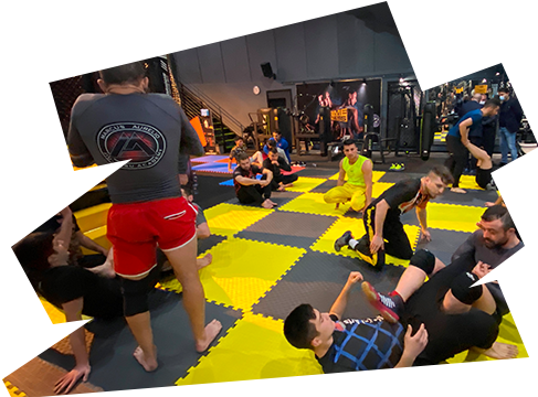 https://www.primefit.com.tr/wp-content/uploads/2021/12/mma-group.png